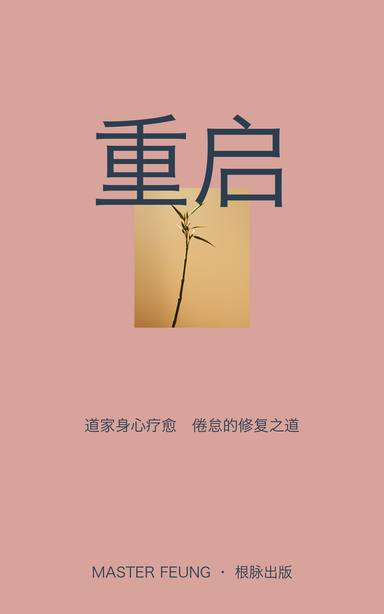Master Feung Ebook